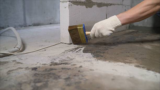 SJ Waterproofing Pros Exterior Waterproofing coverage map for Randolph, WI and surrounding area